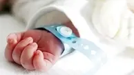 چاق ترین “نوزاد ایرانی”به دنیا آمد | تصویری از نوزاد بامزه اردکانی