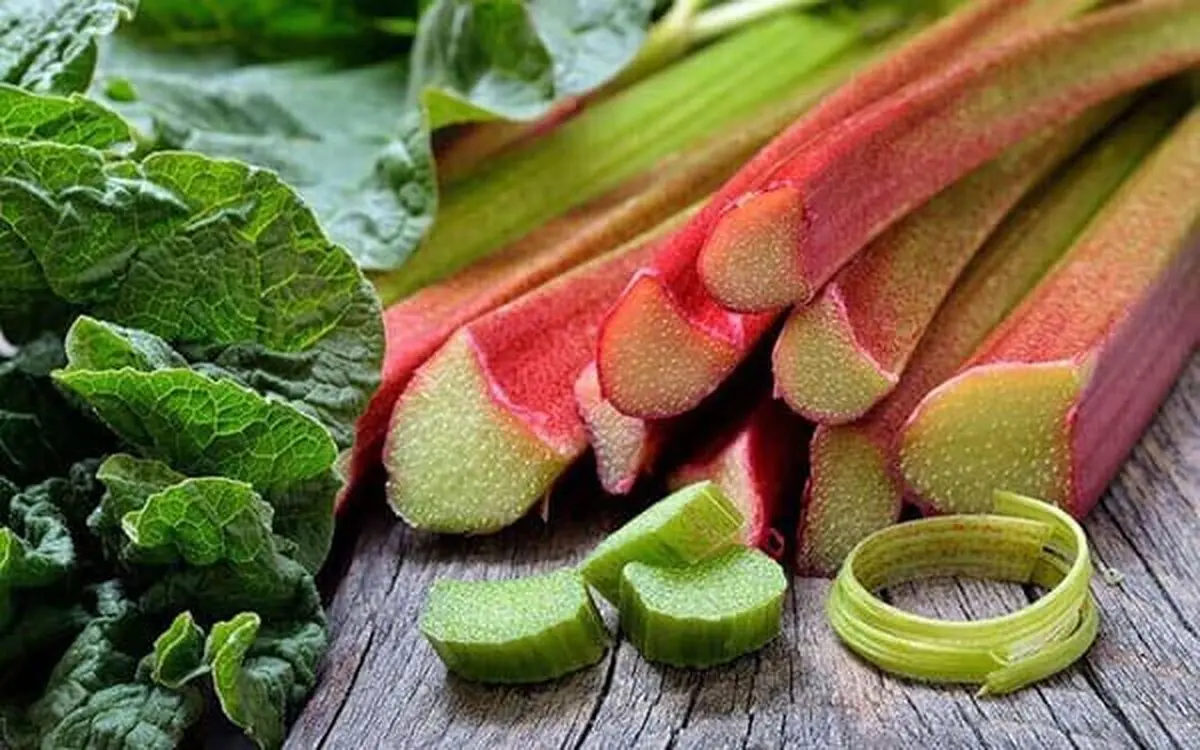 
ریواس، سوغاتی فصل بهار در چاقی و پرفشاری خون بارداری مؤثر است. 
