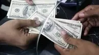 قیمت دلار، یورو و سایر ارزها امروز ۲ آذر |  بازار ارز سکته کرد