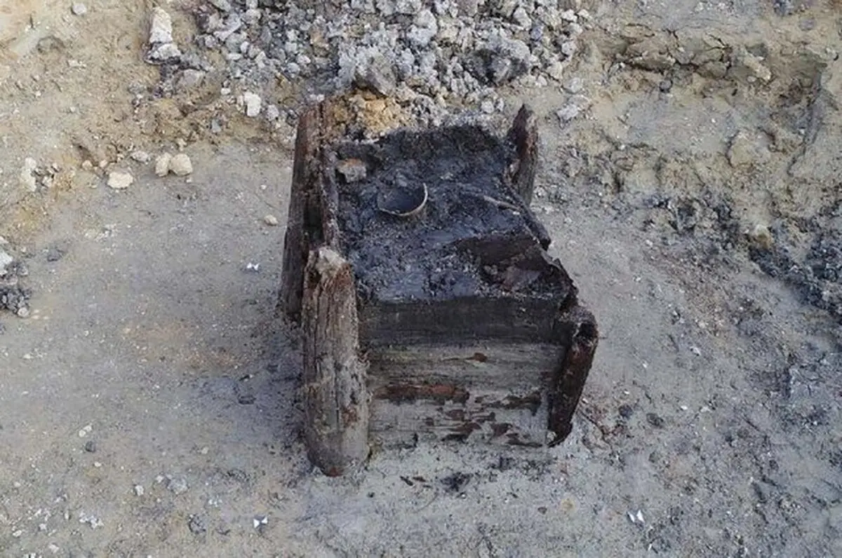 قدیمی‌ترین سازه چوبی جهان کشف شد 