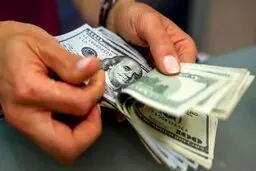 پیش‌بینی رییس‌کل بانک مرکزی درباره نرخ روزهای آینده ارز
