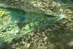 نگهداری از تمساح در یک مرکز خرید در غرب تهران | ورود محیط زیست به موضوع