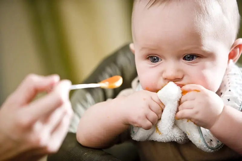 10ماده غذایی که ممکن است آلرژی غذایی در کودکان ایجاد کنند