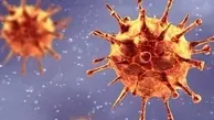 چگونه ویروس کرونا منتقل می‌شود؟