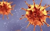 چگونه ویروس کرونا منتقل می‌شود؟
