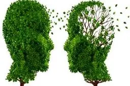 نشانه های مهم در آلزایمر 