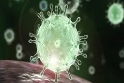 آمار مبتلایان به کرونا در سرزمین‌های اشغالی 