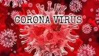 ویروس کرونا ممکن است تا فروردین و یا اردیبهشت وجود داشته باشد 