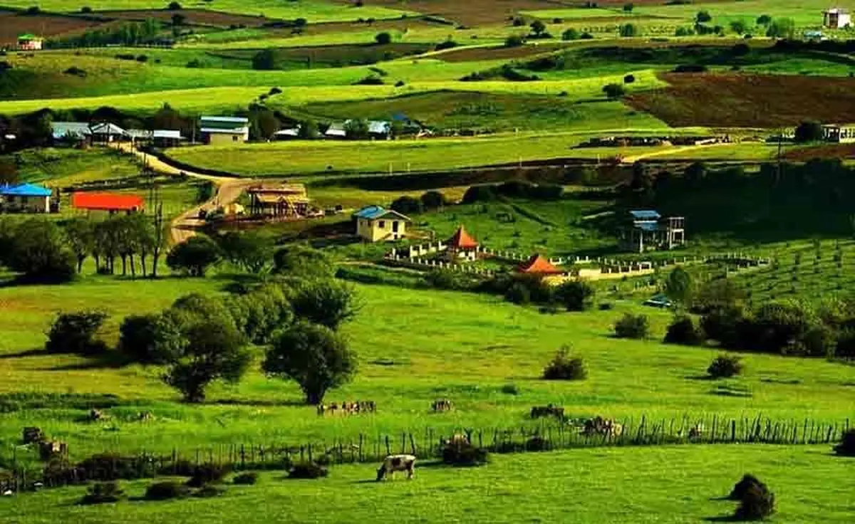 با این ویدیو به دیلمان، بهشت کوچک گیلان سفر کنید | طبیعت شگفت انگیز جاده دیلمان در تیرماه ۱۴۰۳+ویدئو