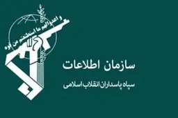 با حمایت کنندگان رژیم صهیونیستی در فضای مجازی برخورد می‌شود