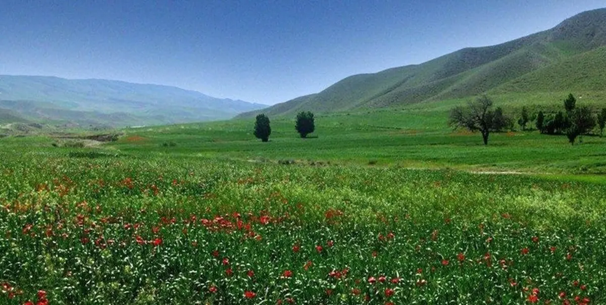 شمال گرم‌ می‌شود