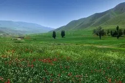 شمال گرم‌ می‌شود