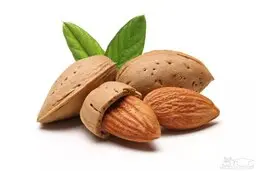 بهترین مواد غذایی جهان

 که می تواند به خواب راحت شما کمک کند