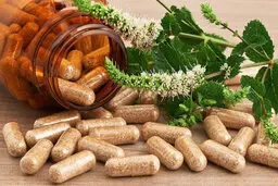 استفاده از «تریاک» در یک داروی گیاهی کرونا | واکنش ستاد مبارزه با موادمخدر
