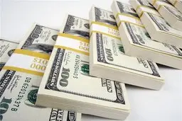 بازداشت ۳۰ نفر از عناصر کلیدی و سرشبکه دلالان ارزی در پایتخت