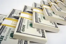 بازداشت ۳۰ نفر از عناصر کلیدی و سرشبکه دلالان ارزی در پایتخت