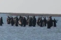 علت حمله شکارچیان میانکاله به چهار محیط‌بان چه بود؟