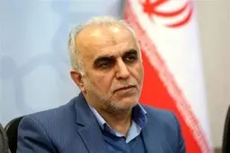 دژپسند:برای اجرای بودجه ۹۹ از بانک مرکزی استقراض نکردیم