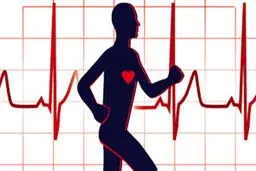 اهمیت ورزش روزانه برای سلامت قلب: چگونه یک برنامه ورزشی مناسب ایجاد کنیم؟