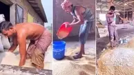 اگر می‌‌خواهید کثافت بخورید از برنج هندی غافل نشوید | این ویدئو از تهیه برنج هندی رو ببینید عمرا دیگه لب بزنید بهش! + ویدئو