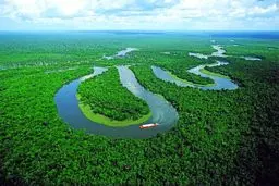 بازگشت زندگی به زمین مرده | زوجی که با ۲ میلیون درخت، جنگل را احیا کردند! +ویدئو