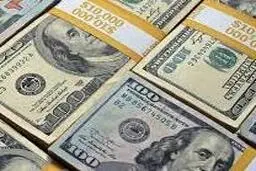 افزایش نرخ ارز، تقاضای تسهیلات ارزی را کم کرد
