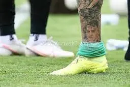 تتوی حامد لک