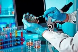  کرونا  |  شناسایی 23 جهش ژنتیکی کرونا  
