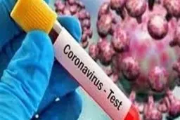 تکذیب فوت ۲۰۰ نفر در گیلان در اثر ابتلا به کرونا