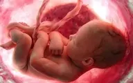 دستاورد جدید دانشمندان | خلق جنین انسان بدون نیاز به اسپرم و تخمک! | از این به بعد اینطوری بدون درد باردار شو