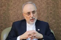 صحبت های علی اکبر صالحی از توافق با آژانس
