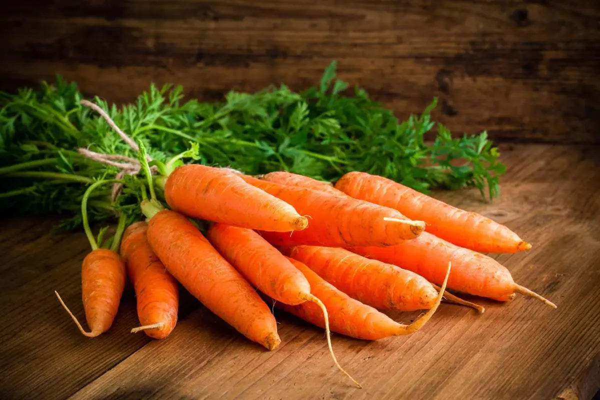 افزایش چشمگیر قیمت هویج
