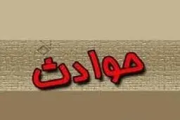 ربودن زن بیمار از بیمارستان روانی برای سرقت اموالش