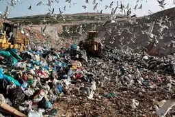 
کلانتری  |   ۴۵ درصد بوی نامطبوع پایتخت مربوط به آرادکوه است