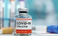 احتمال مرگ کرونایی‌های واکسن نزده ۱۴ برابر بیشتر از سایرین است