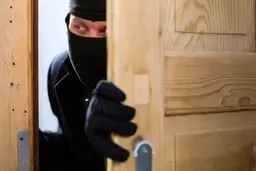 مردم مراقب سارقان سمپاش باشند