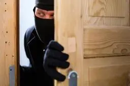 مردم مراقب سارقان سمپاش باشند