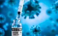 وعده مهم درباره پایان واکسیناسیون 