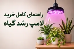 راهنمای تخصصی خرید لامپ رشد گیاه بر اساس نیاز شما