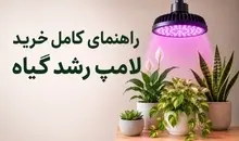 راهنمای تخصصی خرید لامپ رشد گیاه بر اساس نیاز شما
