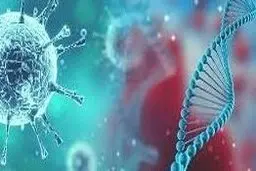 علت بیشتر شدن  شیب کرونا درتهران از زبان رییس جمهور 