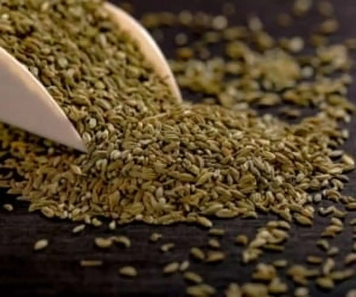 عوارض جدی زیاده روی در مصرف زیره سبز