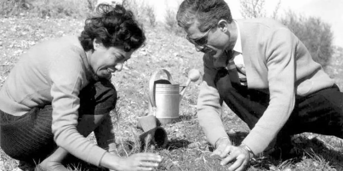 داستان کوتاه " به کی سلام کنم؟ " از سیمین دانشور 