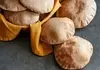 نان مقوی و خوش‌طعم ارده و گردو | نان مقوی و ساده برای تغذیه مدرسه + ویدیو 