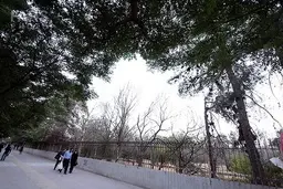 
باز هم آتش سوزی در باغ فرزانه شیراز 