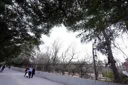 
باز هم آتش سوزی در باغ فرزانه شیراز 