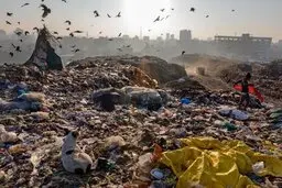 تهرانی‌ها چقدر پسماند خطرناک خانگی تولید می‌کنند؟