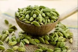 چیدن خوش عطرترین ادویه | نگاهی به برداشت هل +ویدئو