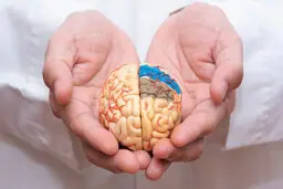 درمان آلزایمر با این گیاه عجیب | علت اصلی آلزایمر چیست؟