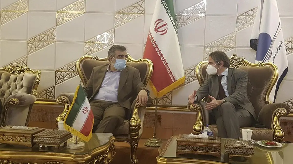 گروسی وارد تهران شد+عکس